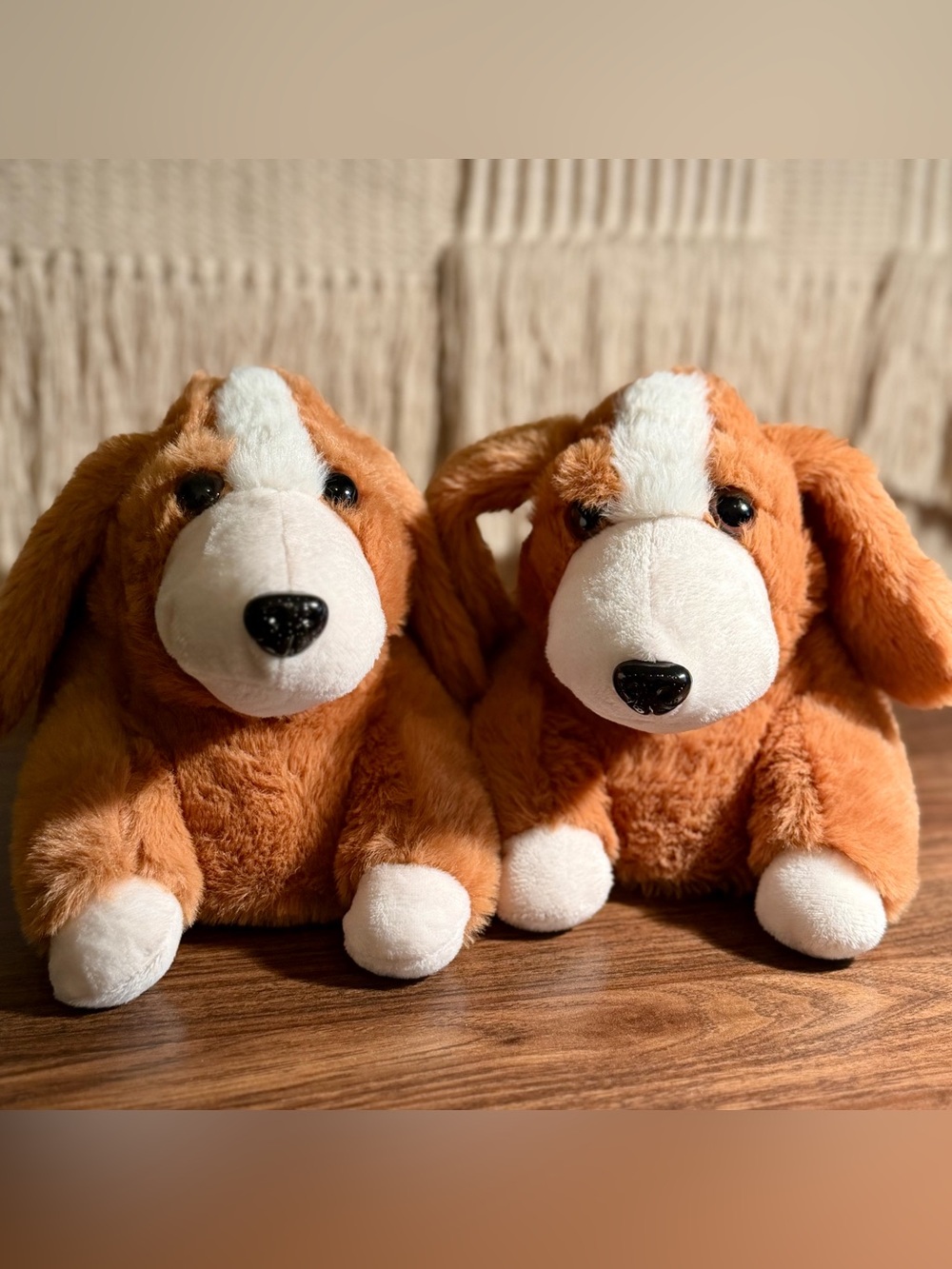 Petco 3D Dog Fuzzy Slippers, Medium